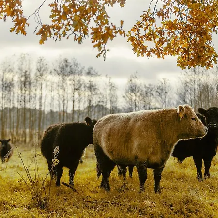 게스트하우스 Hof Nature Hideaway 