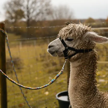 게스트하우스 Hof Nature Hideaway 