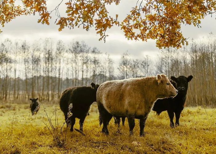 Pensionat Hof Nature Hideaway 
